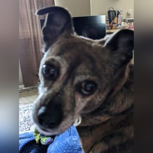 Meet your Posher, Becky